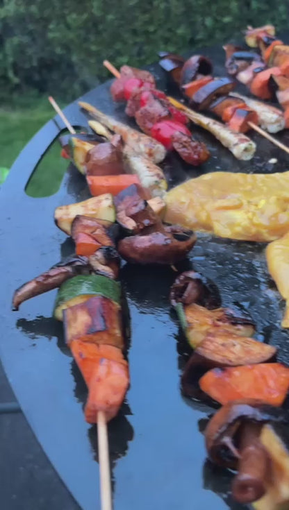 Plancha Grill für Steak, Fisch und Gemüse